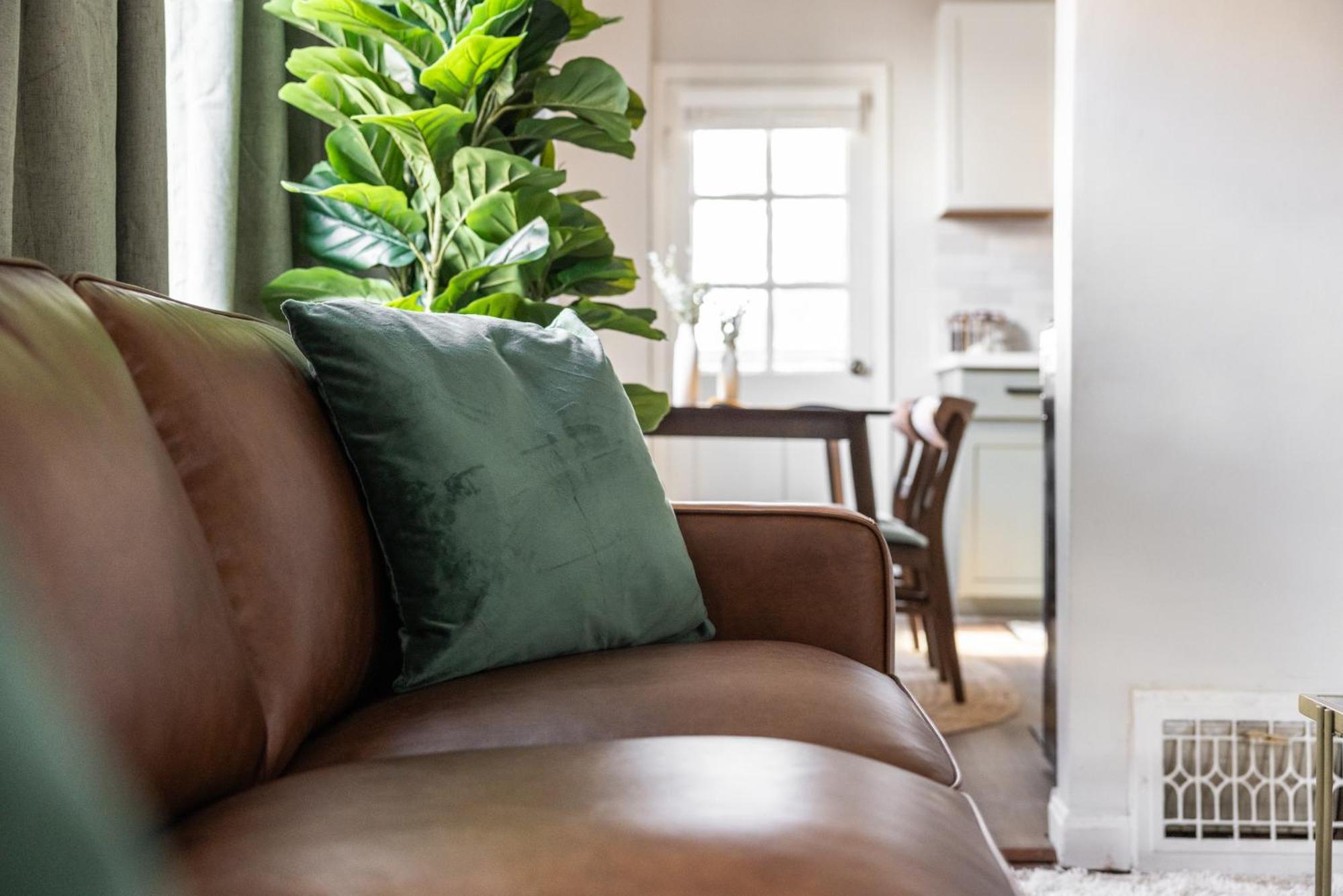 Mid-Century Modern Retreat In Little Italy Apartment คลีฟแลนด์ ภายนอก รูปภาพ